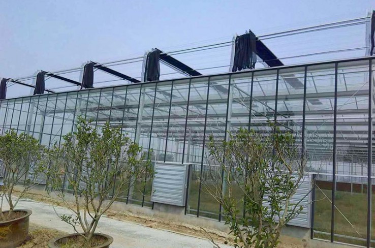 Glass greenhouse
