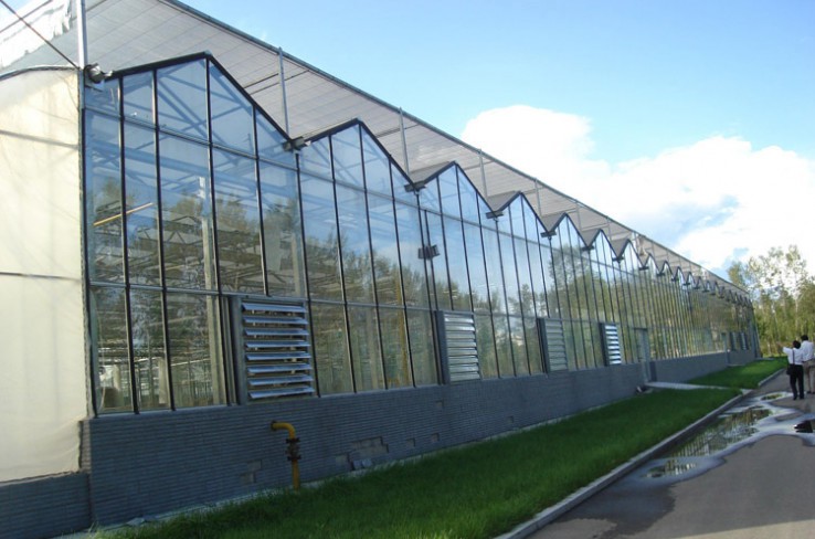 陽(yáng)光板溫室