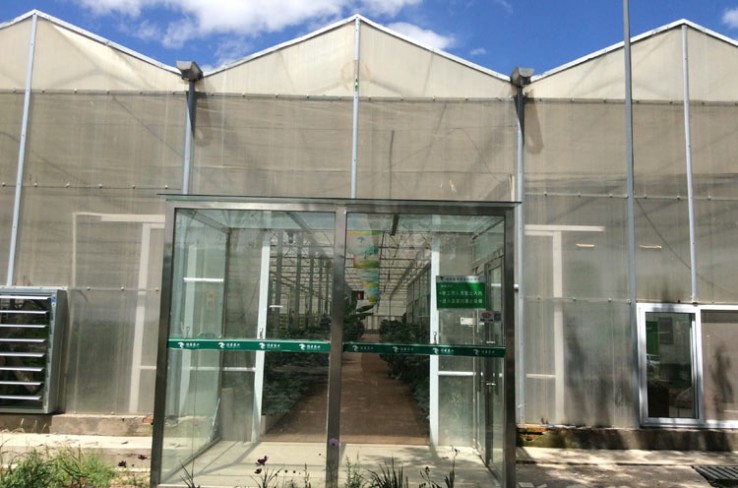 Solar panel greenhouse